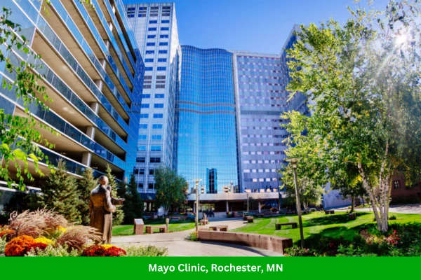 Mayo Clinic, Rochester, MN