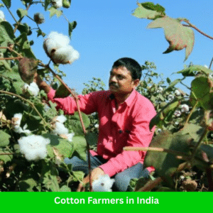 Cotton Farmers in India